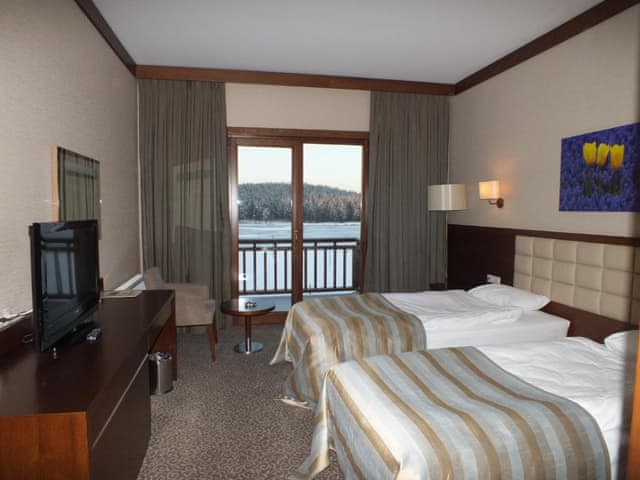 Standart Oda (Göl manzaralı)