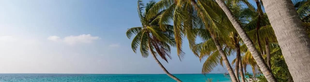 Alifu Dhaalu Atoll Halal-friendly holidays