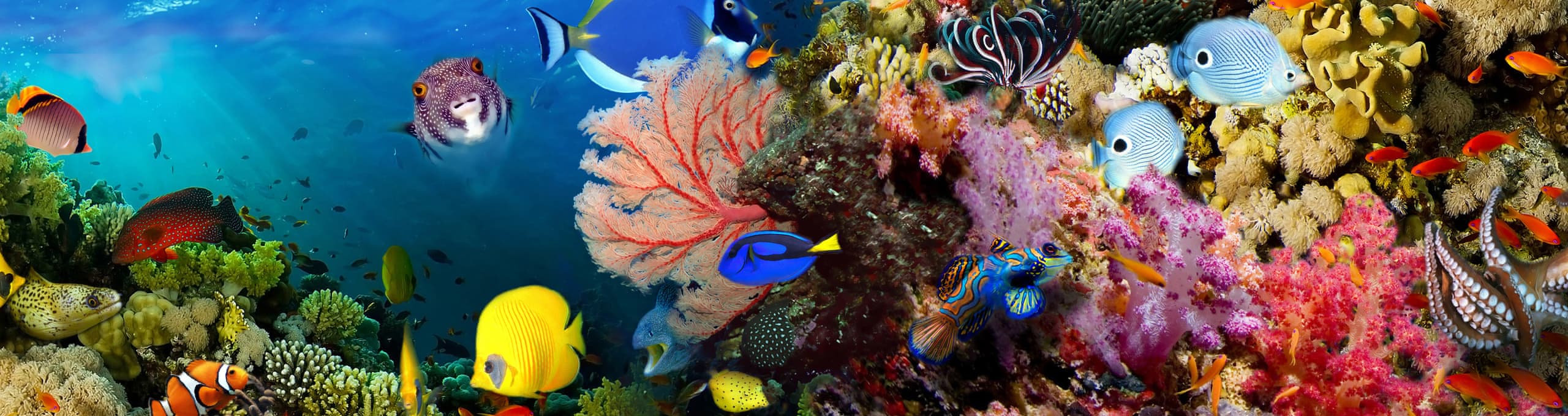 Hurghada Halal-friendly holidays