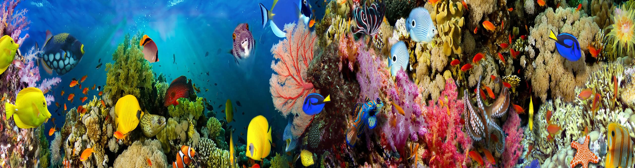 Hurghada Halal-friendly holidays