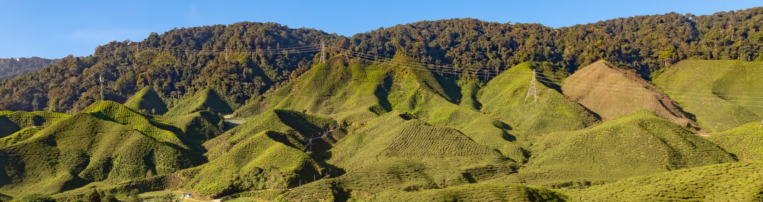 Tanah Rata السياحة المناسبة للمسلمين