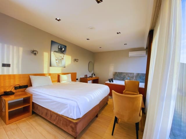 Junior Suite with Terrace