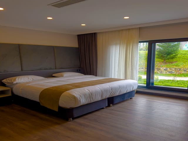 Double Room Mountain Mountain View