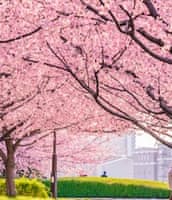 Отпуск весной