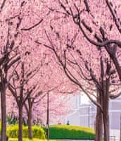 Отпуск весной