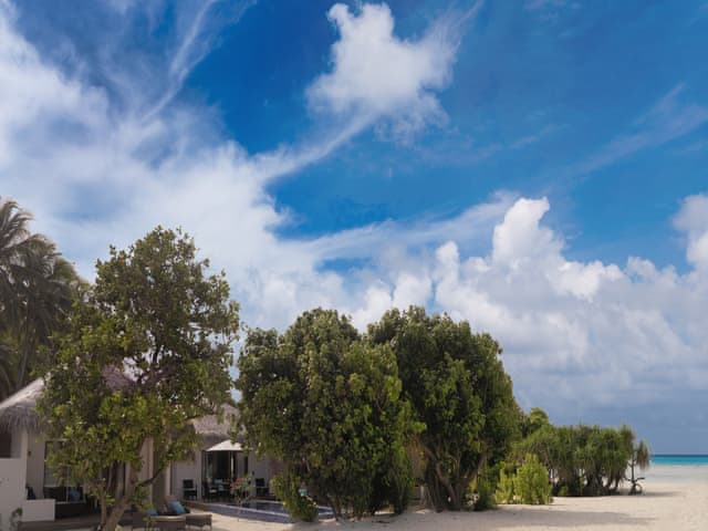 Havuzlu 2 yatak odalı Villa
