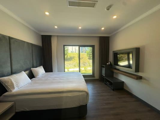 Double Room Mountain Mountain View
