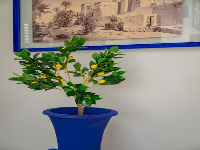 Premium Villa (3 yatak odalı)