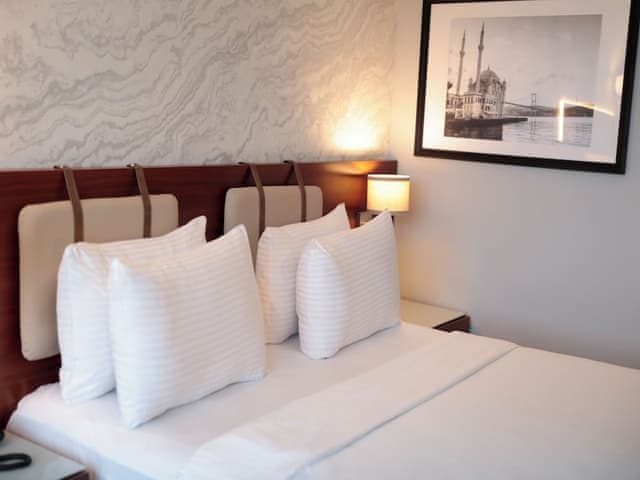 Deluxe King Room - Free SPA Access