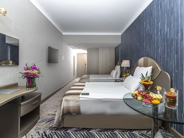 Premium Double or Twin Room