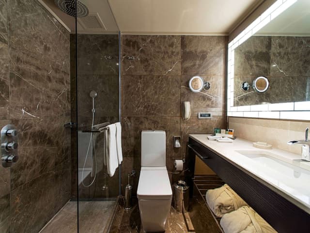 Executive Room, 1 King Bed (Deluxe)