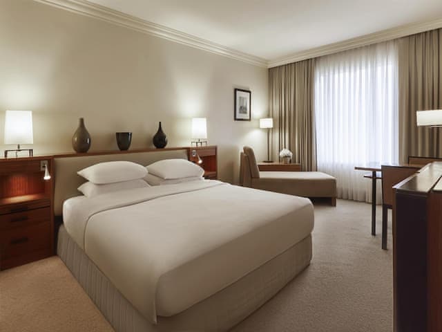 Room, 1 King Bed