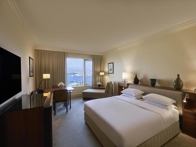 Room, 1 King Bed (Bosphorus View)