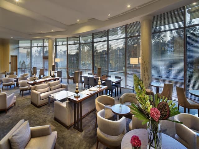 Twin Executive Room with Park View, Lounge Access