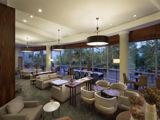 Twin Executive Room with Park View, Lounge Access