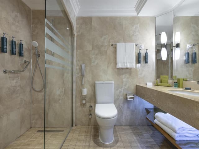 King Deluxe Room - Garden View