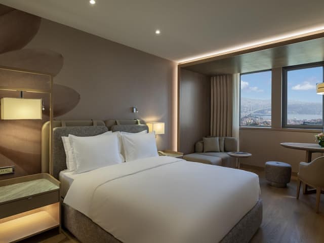 Superior Double Room, 1 Twin Bed