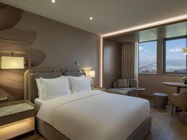 Superior Double Room, 1 Twin Bed