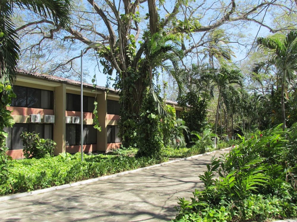 Photo 18