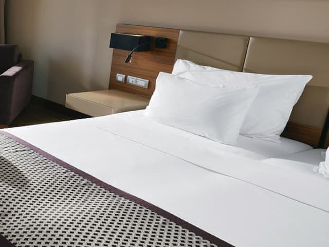 Standard Double Room, 1 King Bed with Sofa bed (Land)