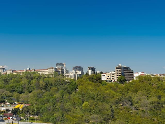 Room, 1 King Bed, Park View