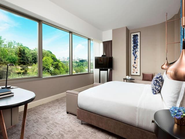 Room, 1 King Bed, Park View