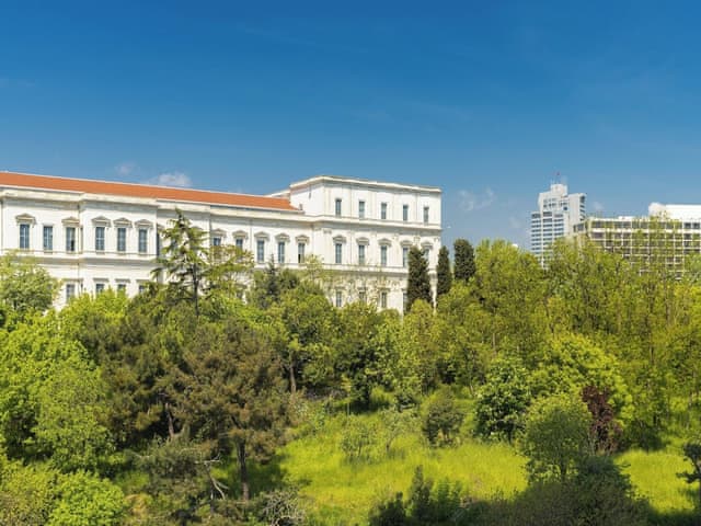 Room, 1 King Bed, Park View