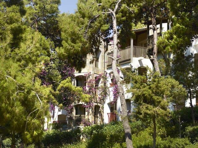 Standard Room, Garden View