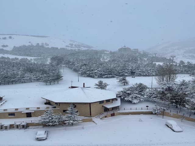 Deluxe Twin Room, 2 Twin Beds