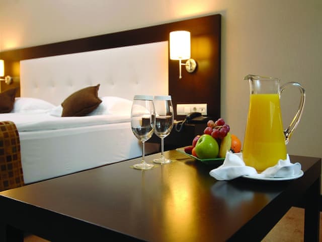 Delüks İki Yataklı Oda