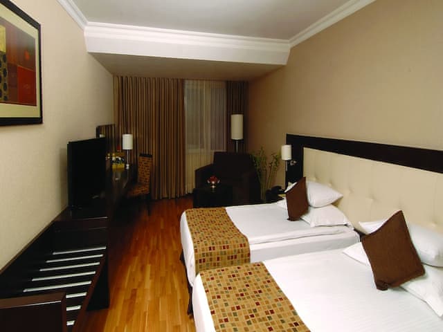 Delüks İki Yataklı Oda