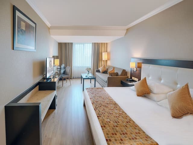 Deluxe Double Room with City View