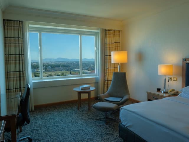 Room, 1 King Bed, Accessible