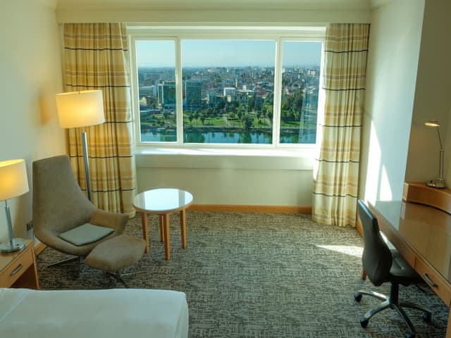 Room, 1 King Bed, River View