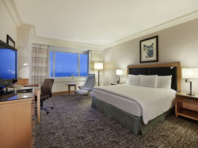 Room, 1 King Bed, City View