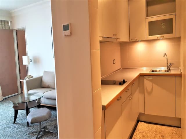 Suite, 1 Bedroom, Kitchen, River View (Business Lounge Access)