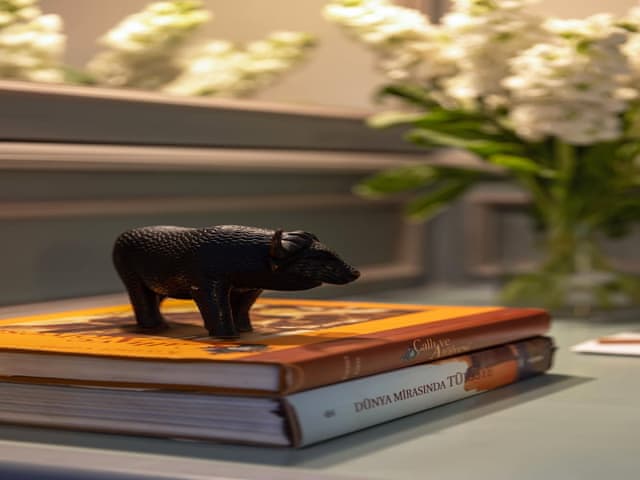 Standart Çift Kişilik Oda