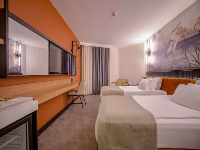 Deluxe Room, 1 King Bed, Non Smoking (Converts to 2 Twin Beds, View)
