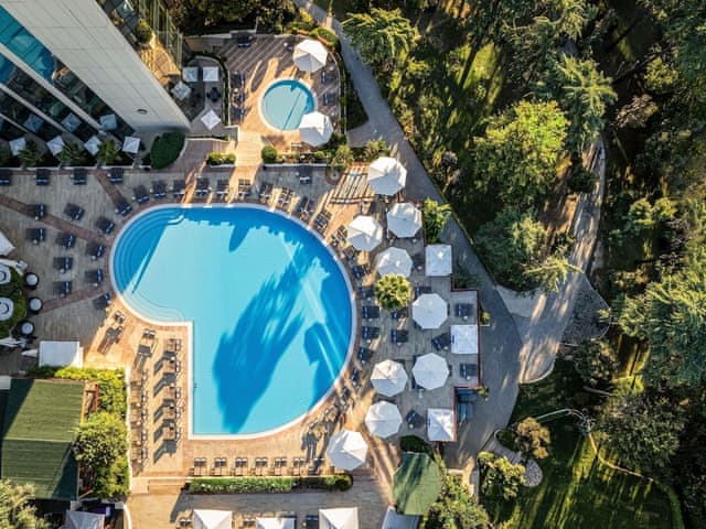 Room, 1 King Bed, Pool Access