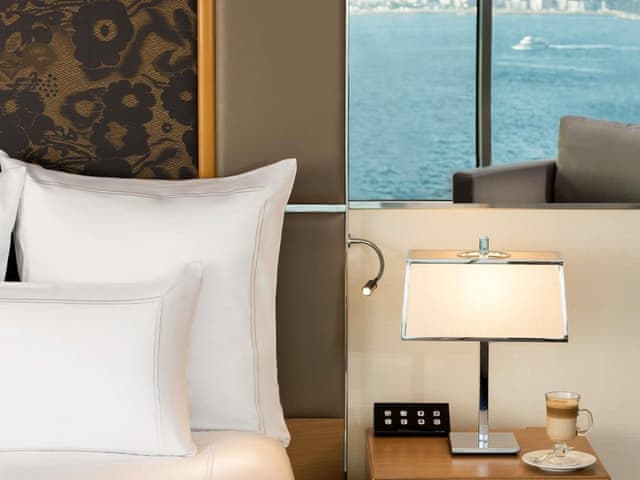 Room, 1 King Bed, Corner (Bosphorus View)