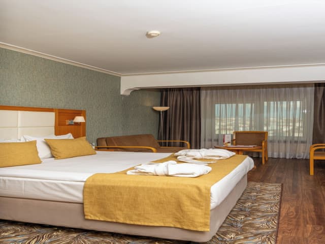 Deluxe Çift Kişilik veya İki Tek Kişilik Yataklı Oda