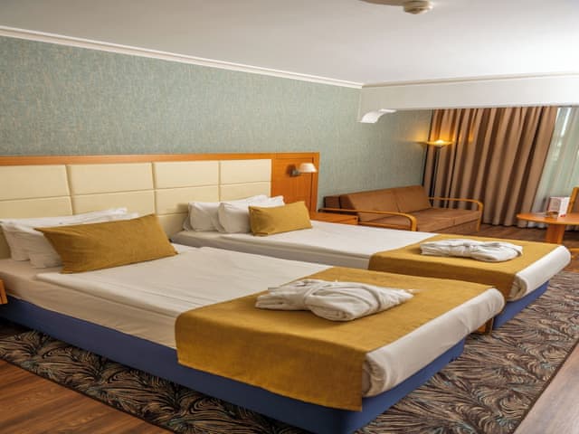 Deluxe Room, 2 Twin Beds, Non Smoking (with Sofabed)