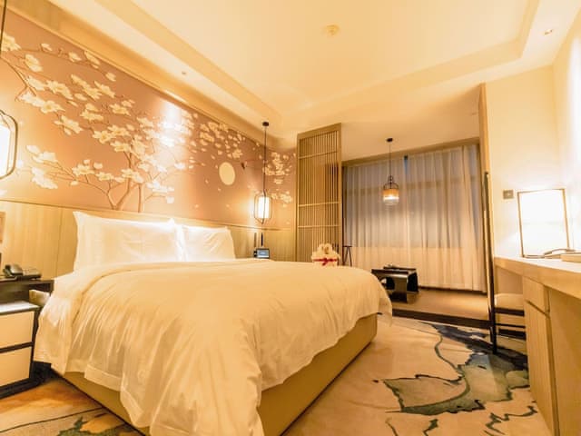 Executive VIP Double Room