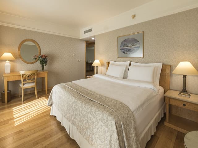 Suite, 1 Queen Bed with Sofa bed (1 Queen Bed )