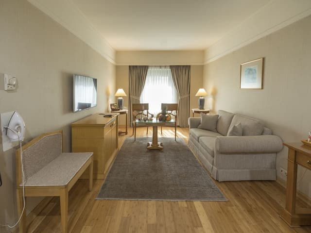 Suite, 1 Queen Bed with Sofa bed (1 Queen Bed )