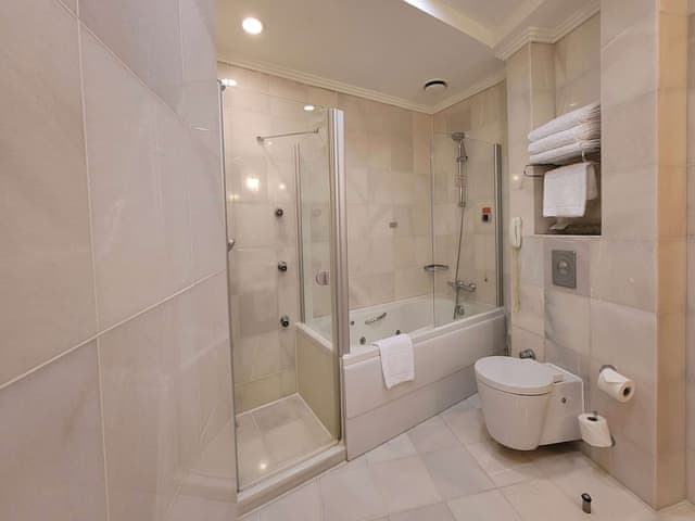 Junior Suite, 1 King Bed, Non Smoking, Mountain View