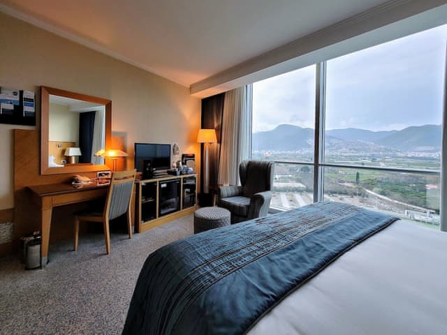 Standard Room, 1 King Bed, Non Smoking, Mountain View