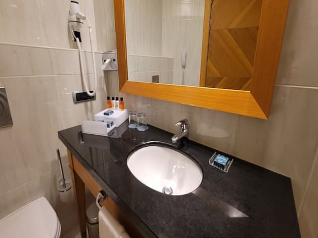 Standard Room, 1 King Bed, Non Smoking, Mountain View