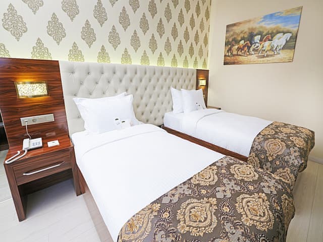 Deluxe Çift Kişilik veya İki Tek Kişilik Yataklı Oda