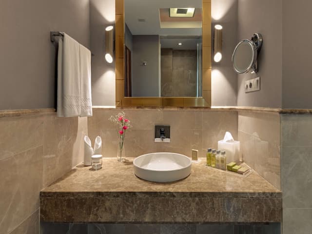 Standard Double Room, Terrace, City View